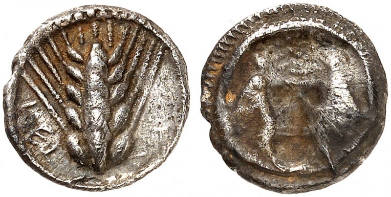 COINS OF THE GREEK WORLD. LUCANIA. Metapontion. Triobol c. 470-440 BC. ΜΕΤ Ear o...