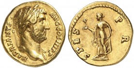 ROMAN EMPIRE. Hadrianus, 117-138. Aureus 134/138, Rome. HADRIANVS - AVG COS III PP Laureate head to right, slight drapery on left shoulder. Rv. SPES -...