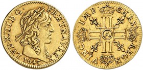 FRANKREICH. Königreich und Republik. Louis XIII. 1610-1643. 1/2 Louis d'or 1643 A, Paris. 3.38 g. Gadoury 57. Fr. 411. Sehr schön / Very fine. (~€ 525...