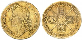 GROSSBRITANNIEN. Königreich. James II. 1685-1688. Guinea 1686, London. Seaby 3402. Fr. 295. PCGS VF25. (~€ 875/USD 1010)