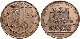 SCHWEIZ. Genf/Genève. Medaillen der Stadt und des Kantons. Kupfermedaille 1858. Auf die Einweihung der Eisenbahnstrecke Lyon-Genf. Stempel von A. Bovy...