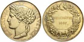 SCHWEIZ. Neuenburg/Neuchâtel. Medaillen des Kantons. Vergoldete Silbermedaille 1887. Neuchâtel. Agricultura Helvetica. 49.47 g. Prachtvolle Erhaltung ...