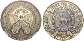 SCHWEIZ. Schützentaler und Schützenmedaillen. St. Gallen. Silbermedaille 1897. Lichtensteig. Kantonalschützenfest. Richter (Schützenmedaillen) 1170a. ...