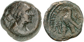GRIECHISCHE MÜNZEN. PTOLEMÄERREICH. Kleopatra VII. Thea, 51 - 30 v. Chr. 
Ein weiteres, ähnliches Exemplar.
8,26 g s - ss