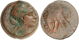 GRIECHISCHE MÜNZEN. PTOLEMÄERREICH. Kleopatra VII. Thea, 51 - 30 v. Chr. 
Bronze-Diobol. Rev. Adler zwischen Fülhorn und Wertzeichen Pi = 80 Drachmen...