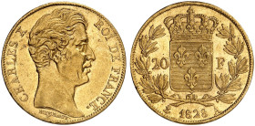 EUROPA. FRANKREICH. - Königreich. Charles X., 1824-1830. 
20 Francs 1828, A - Paris.
Friedb. 549, Gad. 1029, Schlumb. 180 Gold kl. Rdf., vz