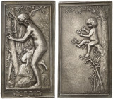 EUROPA. FRANKREICH. Medaillen. 
Silberplakette o. J. (1899, von J. P. Daniel-Dupuis, 36,8 x 65,7 mm). Nackte Frau betrachtet Nest mit zwei Küken / Na...