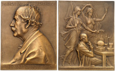 EUROPA. FRANKREICH. Medaillen. 
Bronzeplakette 1901 (von J. C. Chaplain, 57,2 x 70,9 mm). Brustbild des Chemikers und Politikers Marcelin Berthelot n...