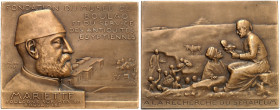 EUROPA. FRANKREICH. Medaillen. 
Bronzeplakette 1905 (von S. E. Vernier, 75,8 x 60,5 mm), auf den Ägyptologen Auguste Mariette und die Ausgrabung des ...