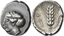 Metapontum. 
Nomos circa 430-400, AR 8.02 g. Diademed head of Demeter l. Rev. MET Ear of barley with stalk and leaf to r. Noe-Johnston 330d (this coi...