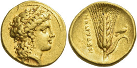 Metapontum. 
Third-stater circa 340-330, AV 2.64 g. Diademed head of Hera (?) r., hair falling loosely behind her neck. Rev. METAΠON Barley-ear with ...