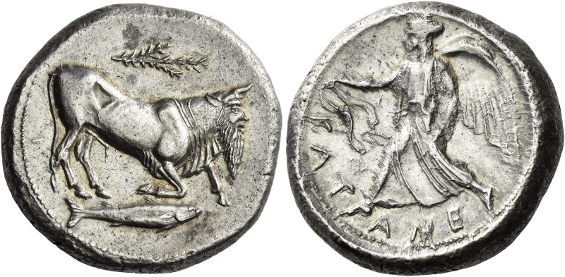 Catana. 
Tetradrachm circa 465-450, AR 17.30 g. The river-god Amenanos as beard...