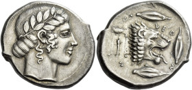 Leontini. 
Tetradrachm circa 460-450, AR 17.34 g. Laureate head of Apollo r., hair rolled behind neck. Rev. LEO – N – T – IN – ON Lion's head r., wit...