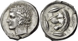 Leontini. 
Tetradrachm circa 430-425, AR 17.18 g. Laureate head of Apollo l. Rev. LEO – N – TI – NON Lion's head l., with open jaws and protruding to...
