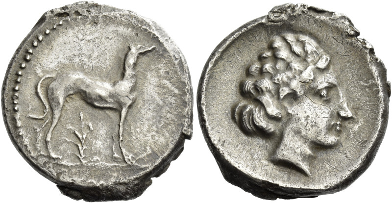 Motya. 
Didrachm circa 450-430, AR 8.90 g. Hunting dog standing r.; below, bran...