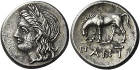 Tauric Chersonesus, Panticapaeum. 
Tetradrachm circa 355-340, AR 15.65 g. Laureate head of Apollo l. Rev. ΠANTI Horse grazing l. Anokhin 1030. MacDon...