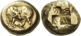 Mysia, Cyzicus. 
Stater circa 400-330, EL 16.07 g. Cow standing l., head turned, suckling calf; below, tunny-fish. Rev. Quadripartite incuse square. ...