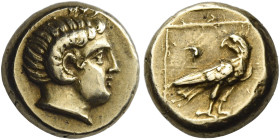 Mytilene. 
Hecte circa 377-326, EL 2.55 g. Young male head r., with the horn of Ammon. Rev. Eagle standing r., with closed wings, looking backwards; ...