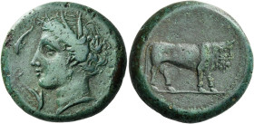 Catana. 
Dilitron circa 340-315, Æ 13.03 g. Head of Persephone l., wearing wreath of reeds; around, three dolphins. Rev. Man-headed bull standing r. ...