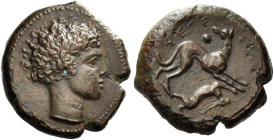 Segesta. 
Uncia circa 430-409, Æ 3.38 g. Head of youth r. Rev. ΣEΓΕ – ΣΤΑ Hound standing over hare, looking back; pellet before. SNG ANS –. Calciati ...