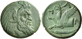 Tauric Chersonesus, Panticapaeum. 
Bronze circa 325-300, Æ 5.84 g. Bearded head of Pan r. Rev. Π – A – N Forepart of griffin l.; below, fish l. SNG B...