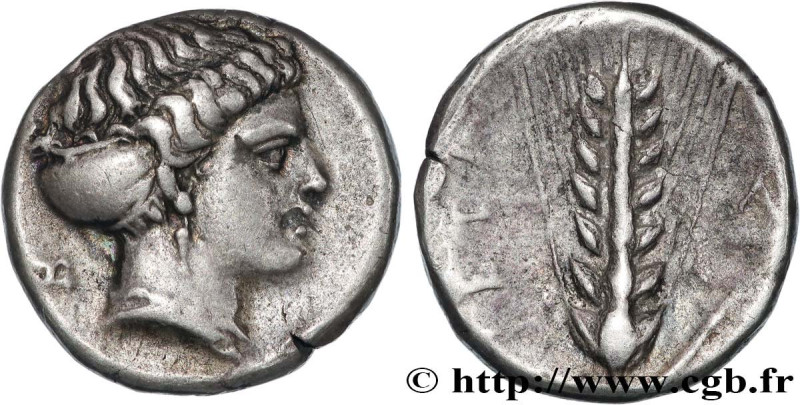 LUCANIA - METAPONTUM
Type : Nomos, statère ou didrachme 
Date : c. 400-350 AC. 
...