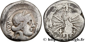 FABIA
Type : Denier 
Date : 82-80 AC.  
Mint name / Town : Rome 
Metal : silver 
Millesimal fineness : 950  ‰
Diameter : 17  mm
Orientation dies : 9  ...