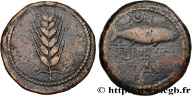 HISPANIA - SPAIN - ILIPENSE (Alcala del Rio, Province of Seville)
Type : Unité de bronze ou as 
Date : IIe siècle avant J.-C. 
Mint name / Town : Ilip...