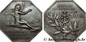 CHAMBERS OF COMMERCE / CHAMBRES DE COMMERCE
Type : Chambre de commerce de Lyon 
Date : n.d. 
Metal : silver 
Diameter : 41,5  mm
Orientation dies : 12...