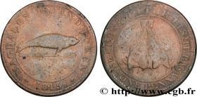 CANADA
Type : 1 Penny Token MAGDALEN ISLANDS 
Date : 1815 
Metal : copper 
Diameter : 33  mm
Orientation dies : 12  h.
Weight : 17,83  g.
Edge : sécur...