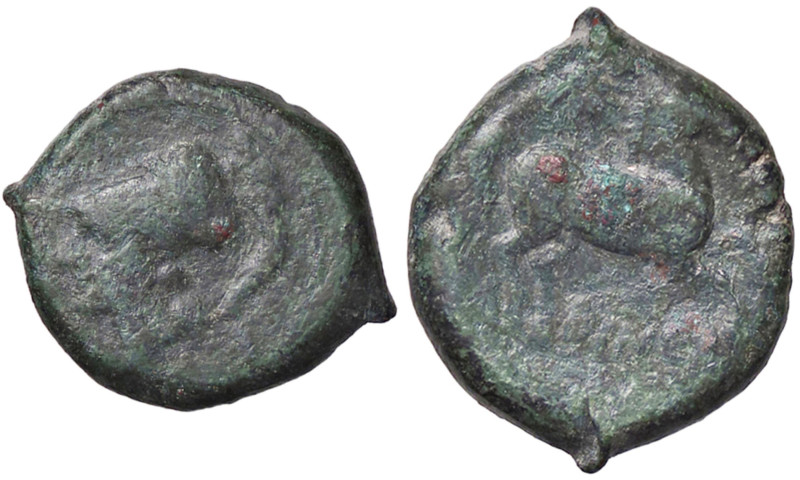 GRECHE - FRENTANIUM - Larinum - Bioncia (AE g. 7,94)
meglio di MB