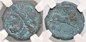 GRECHE - APULIA - Arpi - AE 22 AE Sigillata Classical Coin Grading VF25
qBB