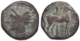GRECHE - SICILIA - Siculo-Puniche - AE 17 Mont. 5543; S. Cop. 1002 (AE g. 3,56)
BB+