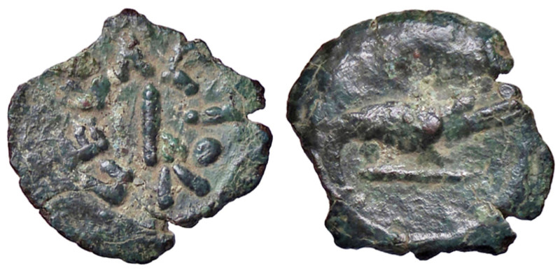 ROMANE PROVINCIALI - Augusto (27 a.C.-14 d.C.) - AE 14 (AE g. 1,21)
qBB