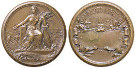 MEDAGLIE ESTERE - PORTOGALLO - Medaglia Syndacato Agricola D'Elvas AE Ã˜ 49
bello SPL
