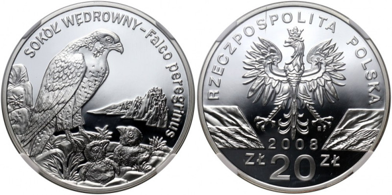 III RP, 20 złotych 2008, Sokół wędrowny Najwyższa nota w gradingu. Reference: Pa...