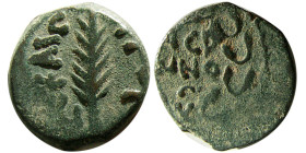 JUDAEA. Procurators. Porcius Festus, 59-62 AD. Æ prutah.