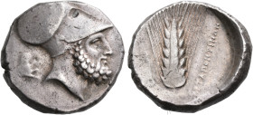 LUCANIA. Metapontum. Circa 340-330 BC. Distater (Silver, 26 mm, 15.85 g, 7 h), struck under the magistrates Ape.. and Ami... Bearded head of Leukippos...