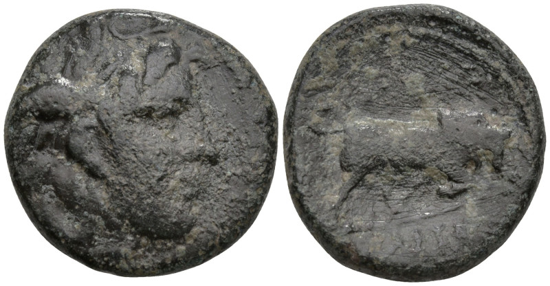 Greek
SELEUKID EMPIRE. Seleukos I Nikator (circa 282-281 BC). Sardes
AE Bronze...