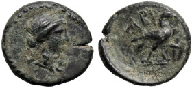 Greek
TROAS. Abydos. (Circa 320-200 BC).
AE Bronze (14.2mm 2.08g)
Obv: Laureate head of Apollo right.
Rev: ABY. Eagle standing right; grain ear(?)...