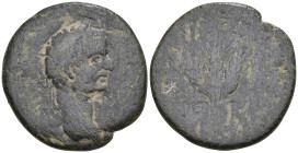 Roman Provincial
CAPPADOCIA. Caesarea. Septimius Severus (193-211 AD)
AE Bronze (31.6mm 7.75g)
Obv: Laureate head right
Rev: Three grain ears bund...
