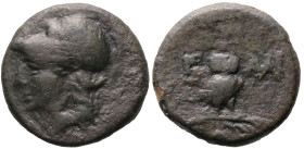 Greek
AEOLIS. Elaia. (1st century BC).
AE Bronze (14.1mm 2.69g)
Obv: Helmeted head of Athena left
Rev: Owl standing right, head facing, on palm fr...