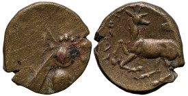 Greek
IONIA. Ephesos. (circa 4th century BC)
AE Bronze (15mm 2.28g)
Obv:
Rev:(?)OΛ(?), Stag kneeling left, head right; astragalos above.
SNG Cope...