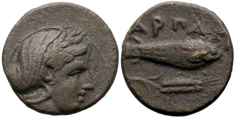 Greek
MYSIA. Harpagion. (Circa 400-375 BC).
AE Bronze (11.1mm 1.13g)
Obv: Lau...