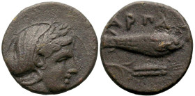 Greek
MYSIA. Harpagion. (Circa 400-375 BC).
AE Bronze (11.1mm 1.13g)
Obv: Laureate head of Demeter right, hair in sakkos
Rev: ΑΡΠΑΓΙΑ. Fish right;...