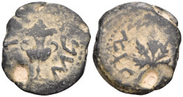 Judea
JUDAEA. Jewish War. (66-70 CE). Jerusalem mint
AE Prutah (22.8mm 2.78g)
Obv: Amphora
Rev: Vine leaf on branch with tendril.
Meshorer 204; H...