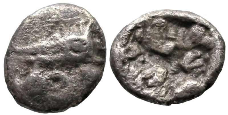 Greek
MYSIA. Kyzikos. (Circa 650-550 BC).
AR Obol (0.9mm 0.53g)
Obv: Tunny fi...
