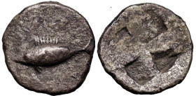 Greek
MYSIA. Kyzikos. (Circa 500 BC)
AR Obol (9.8mm 0.5g)
Obv: Tunny fish swimming to left
Rev: Quadripartite incuse square.
Von Fritze II, 5; cf...