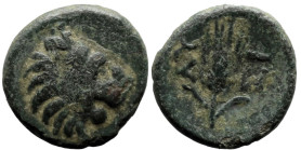 Greek
THRACE. Lysimacheia. (Circa 225-198 BC).
AE Bronze (11.6mm 1.05g)
Obv: Head of lion to right
Rev: Stalk of grain; monogram below, ΛΥ - ΣΙ ac...