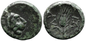 Greek
THRACE. Lysimacheia. (Circa 225-198 BC).
AE Bronze (10.8mm 1.14g)
Obv: Head of lion to right
Rev: Stalk of grain; monogram below, ΛΥ - ΣΙ ac...